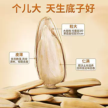 【手打五香瓜子450g*2袋装】[6元优惠券]-寻折猪