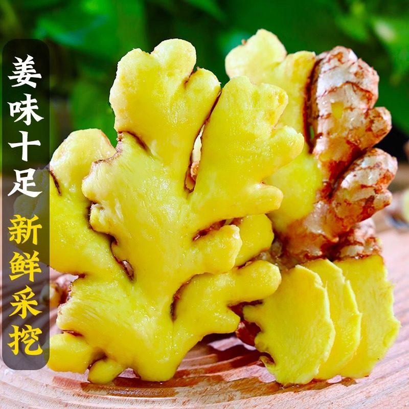 当季新鲜云南小黄姜生姜现挖高山沙姜老姜土姜姜蔬菜商用批发整箱,淘宝优惠券,粉丝福利购,淘宝优惠卷