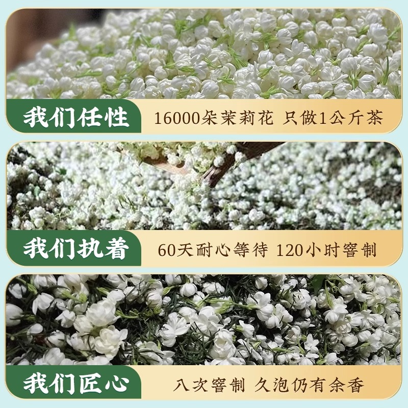 茉莉花茶绿茶茉莉飘雪浓香型2024新茶叶四川茉莉飘雪横县茉莉800g - 图2