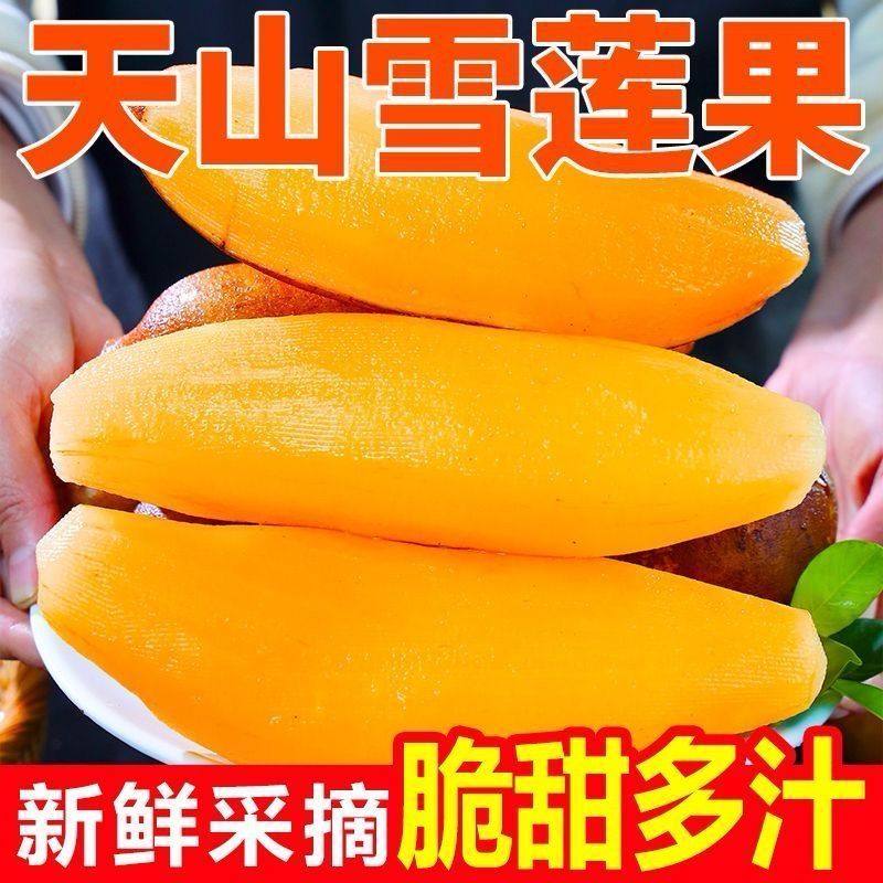 云南天山雪莲果新鲜水果当季高山红泥黄心脆甜雪连果清甜多汁水果,淘宝优惠券,粉丝福利购,淘宝优惠卷