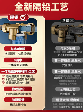 志高大通量前置过滤器全铜防爆