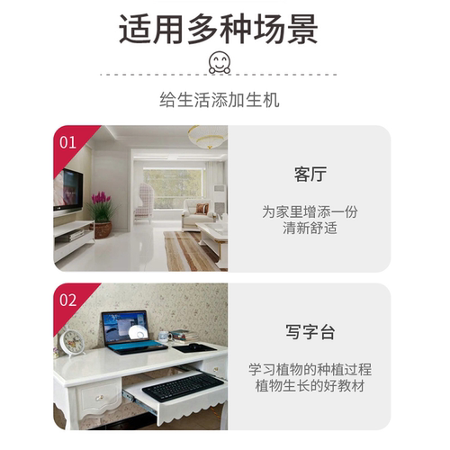 趣味长草娃娃小盆栽草头娃娃猫草绿植儿童小植物幼儿园室内好养 - 图0