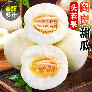 正宗现摘陕西阎良甜瓜4.5斤