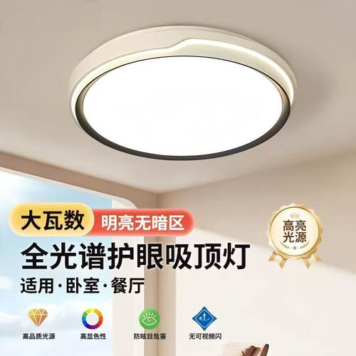 客厅灯简约现代大气2025新款高级感led吸顶主灯全套广东中山防蚊 - 图1
