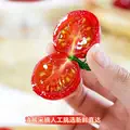 正宗圣女果新鲜小番茄樱桃小西红柿生吃应季水果樱桃小番茄自提 图片 4