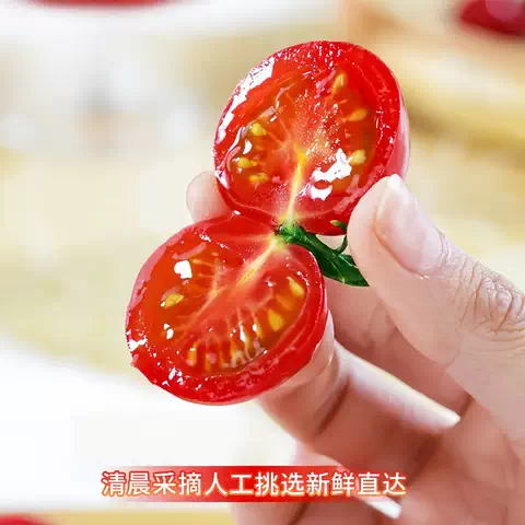 正宗圣女果新鲜小番茄樱桃小西红柿生吃应季水果樱桃小番茄自提 图片 4