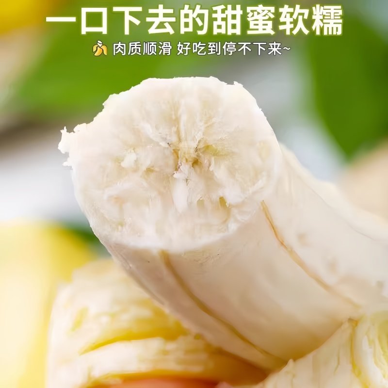 高山甜香蕉新鲜水果当季现摘大芭蕉小米蕉甜香蕉甜脆当季新鲜水果,淘宝优惠券,粉丝福利购,淘宝优惠卷