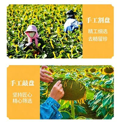 多味打手水煮五香瓜子炒货坚果办公室零食直采袋装葵花籽五香味