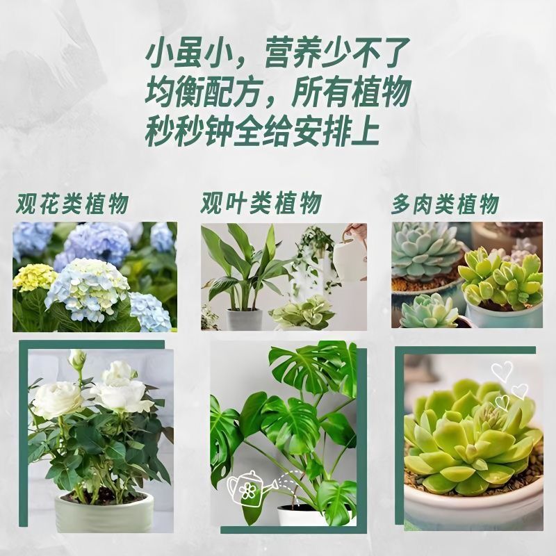 植物缓释营养棒养花通用型家用绿植盆栽蔬菜有机花卉多肉缓释肥料 - 图2