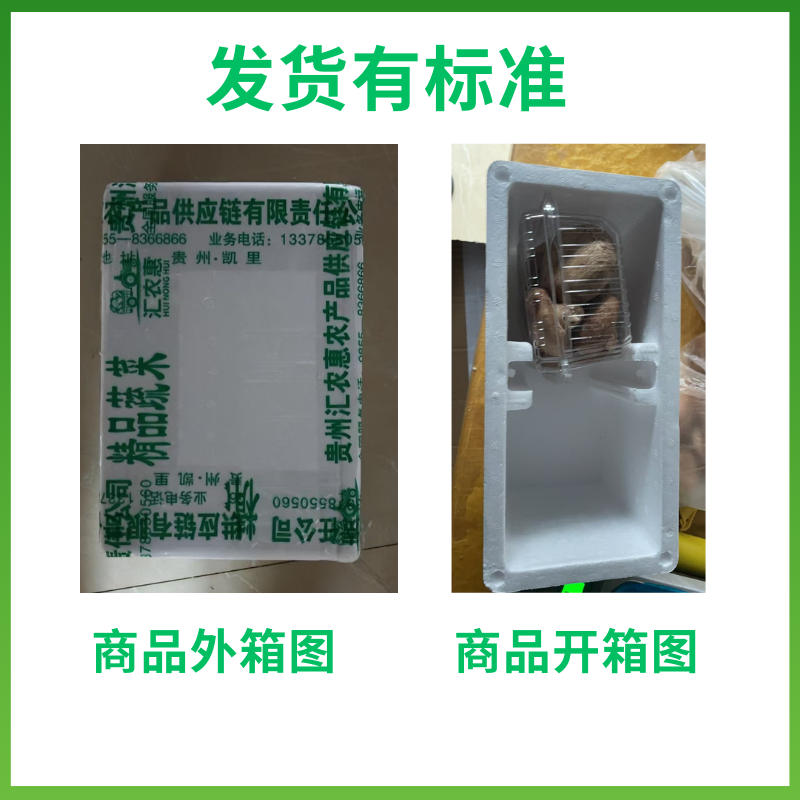 【有机蔬菜】新鲜大粒杏鲍菇鸡腿菇烧烤火锅食材蘸酱菜云南新鲜菜,淘宝优惠券,粉丝福利购,淘宝优惠卷