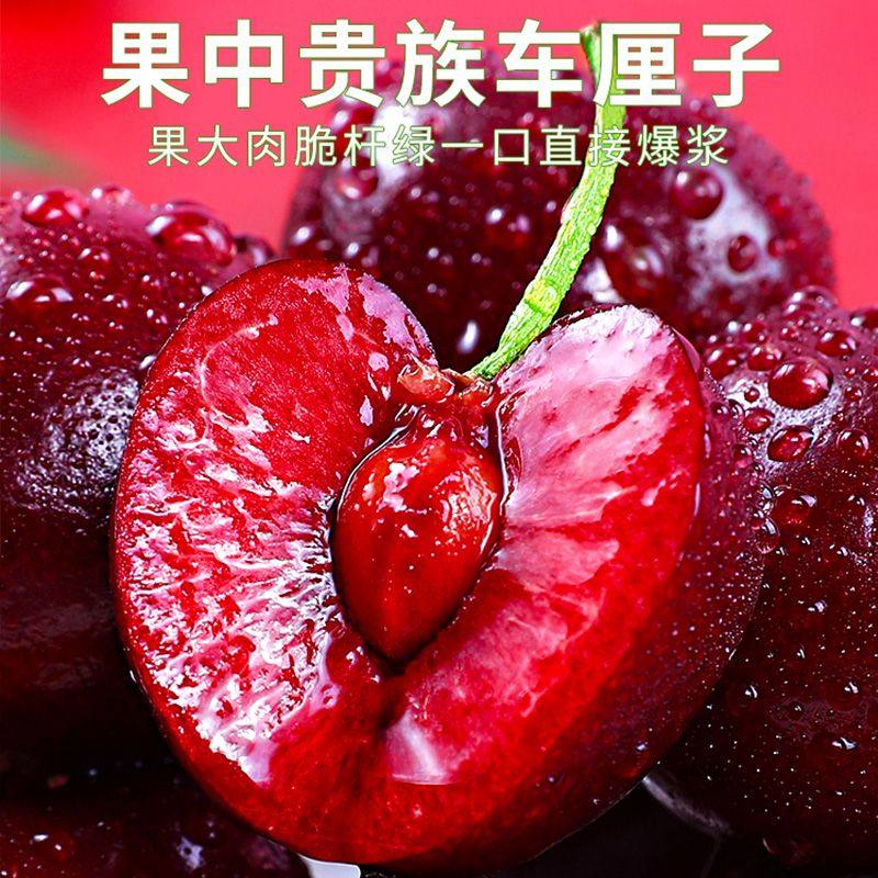 智利进口桑提娜车厘子新鲜水果樱桃应季新鲜孕妇可食5斤礼盒包邮,淘宝优惠券,粉丝福利购,淘宝优惠卷