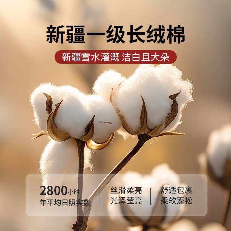 棉被新疆棉花被芯冬被冬季加厚保暖棉絮正宗长绒棉宿舍单人春秋被,淘宝优惠券,粉丝福利购,淘宝优惠卷