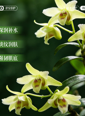 补水保湿面膜石斛去黄提亮淡斑纹