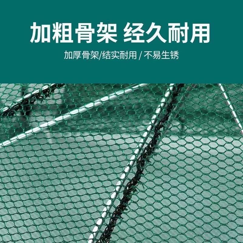 捕鱼笼伞抓小龙虾网神扑鱼地泥鳅黄鳝大全器捞鱼网笼只进不出加粗 - 图2