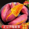 现挖沙地蜜薯红薯新鲜空气炸锅板栗薯自种9斤正宗黄心香甜糖心 图片 2