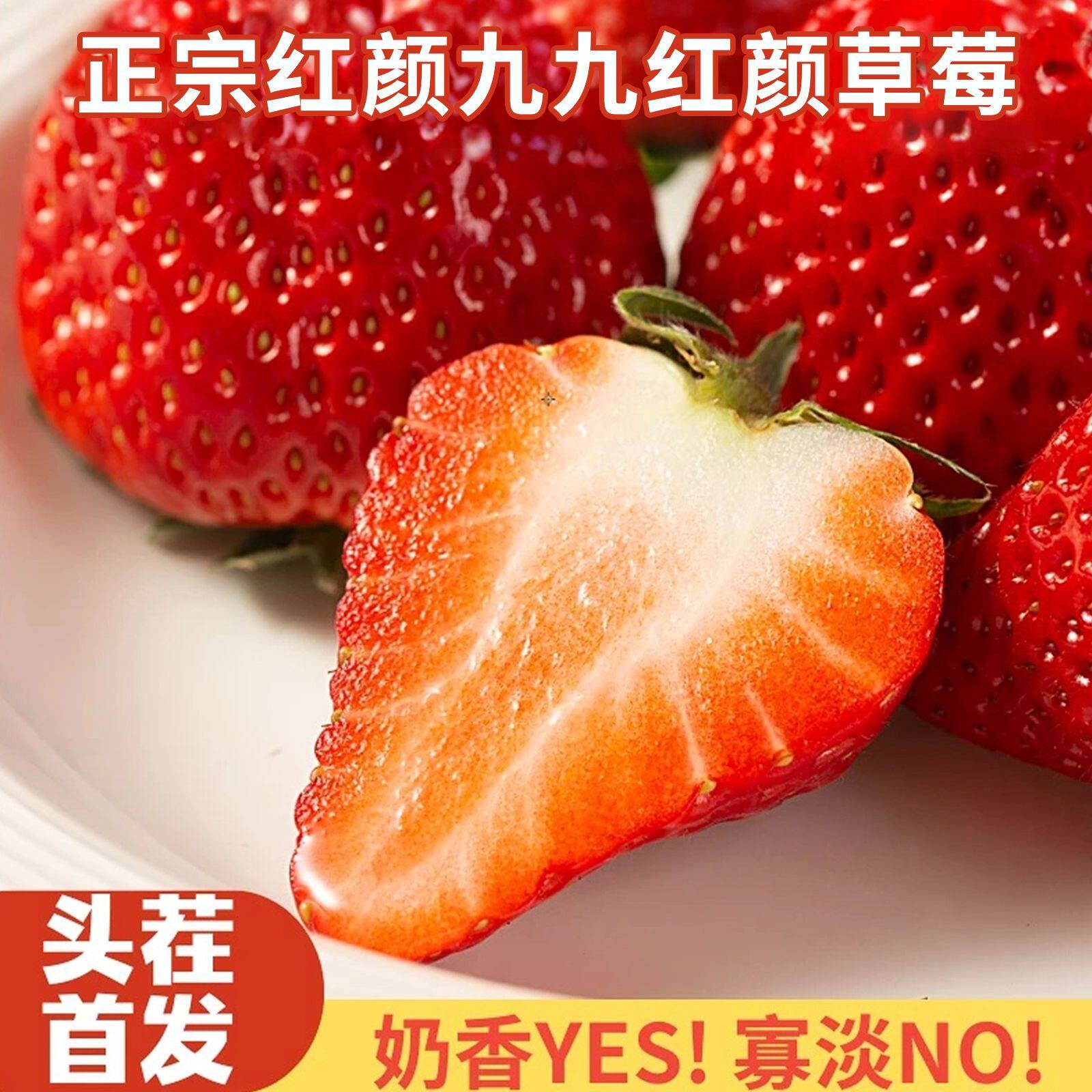 头茬现摘奶油草莓新鲜草莓孕妇水果儿童当季水果99草莓顺丰包邮