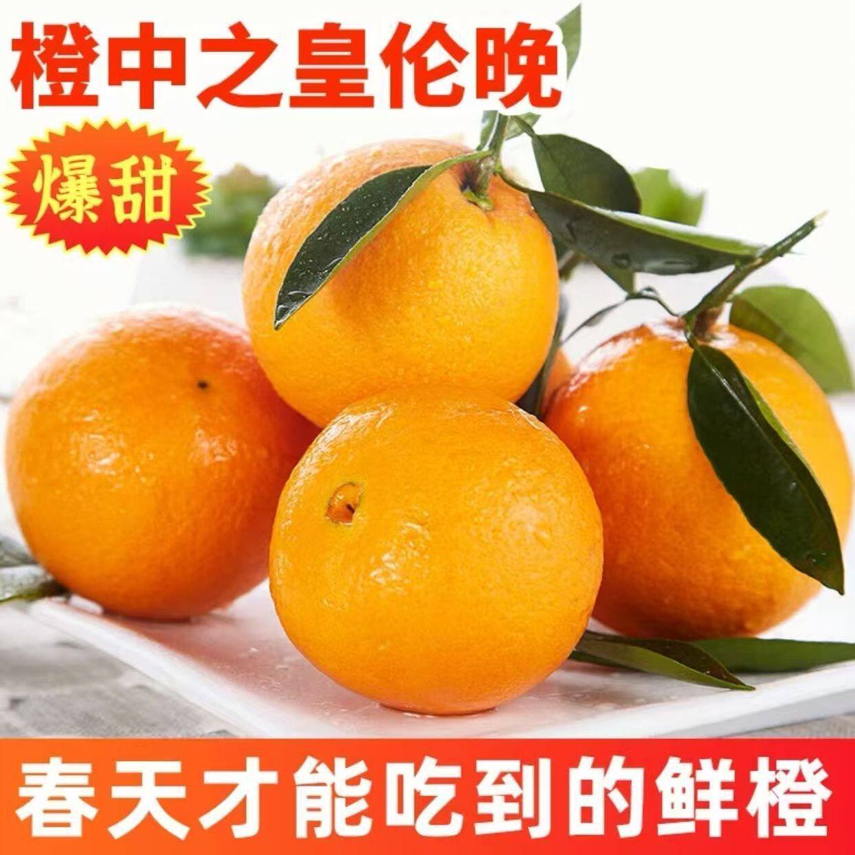 正宗伦晚脐橙新鲜橙子9斤当季水果整箱包邮秭归果冻甜橙大现摘