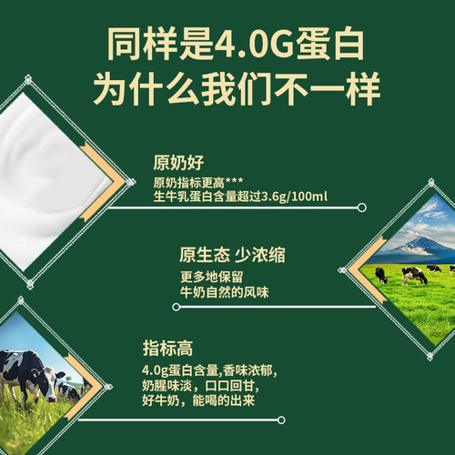 宁夏塞北牧乡A2β酪蛋白4.0g蛋白纯牛奶大漠绿洲200mlx10盒高钙 - 图1