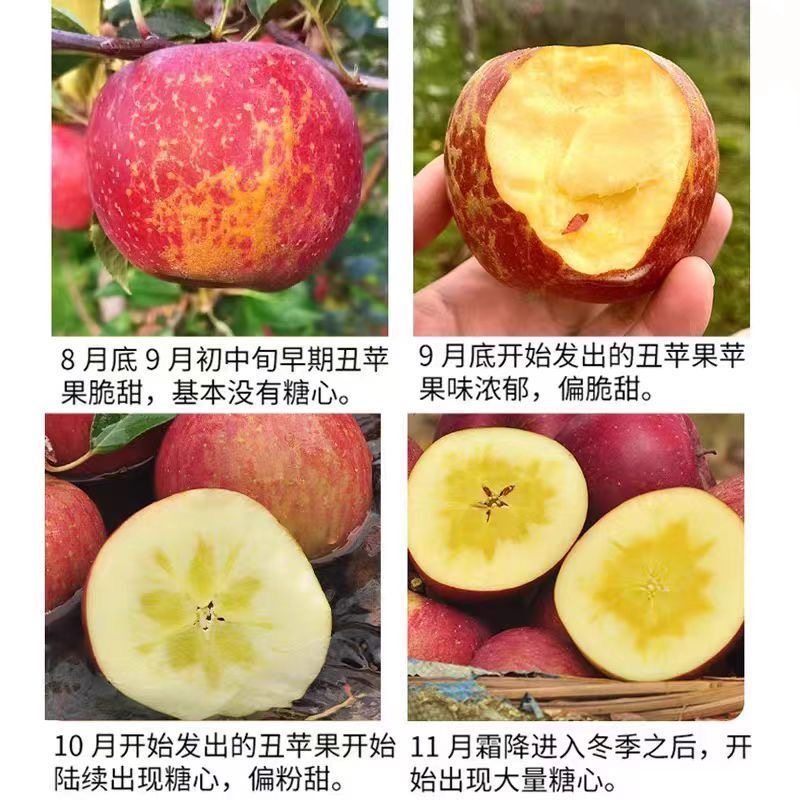 苹果水果丑苹果新鲜盐源大凉山冰糖心孕妇包邮四川红富士年货节,淘宝优惠券,粉丝福利购,淘宝优惠卷