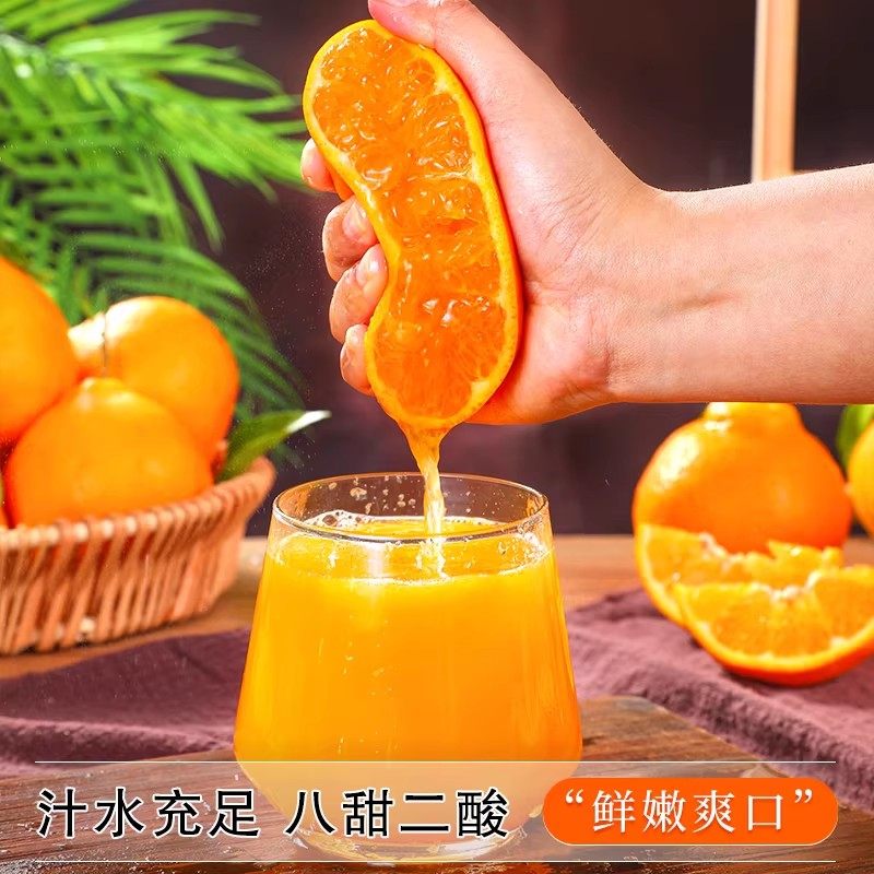 四川春见耙耙柑正宗新鲜水果当季丑粑粑八怪桔不橘子知火整箱包邮,淘宝优惠券,粉丝福利购,淘宝优惠卷