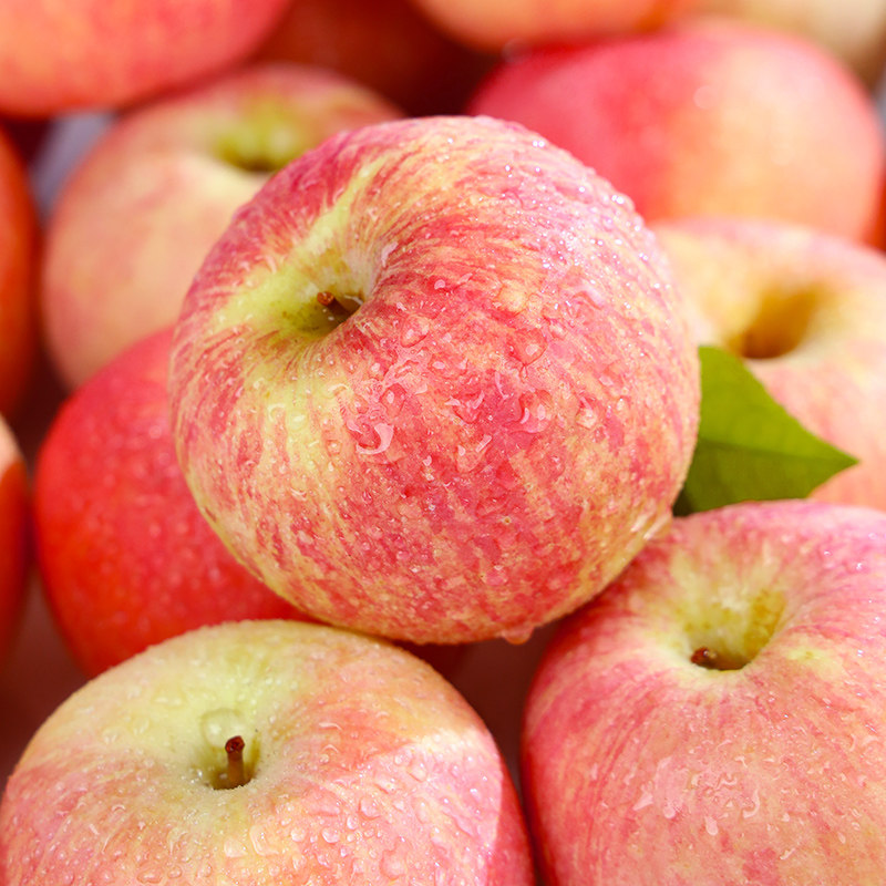 新鲜红富士苹果正宗脆甜多汁山西10新鲜应季5水果全年款斤冰糖心