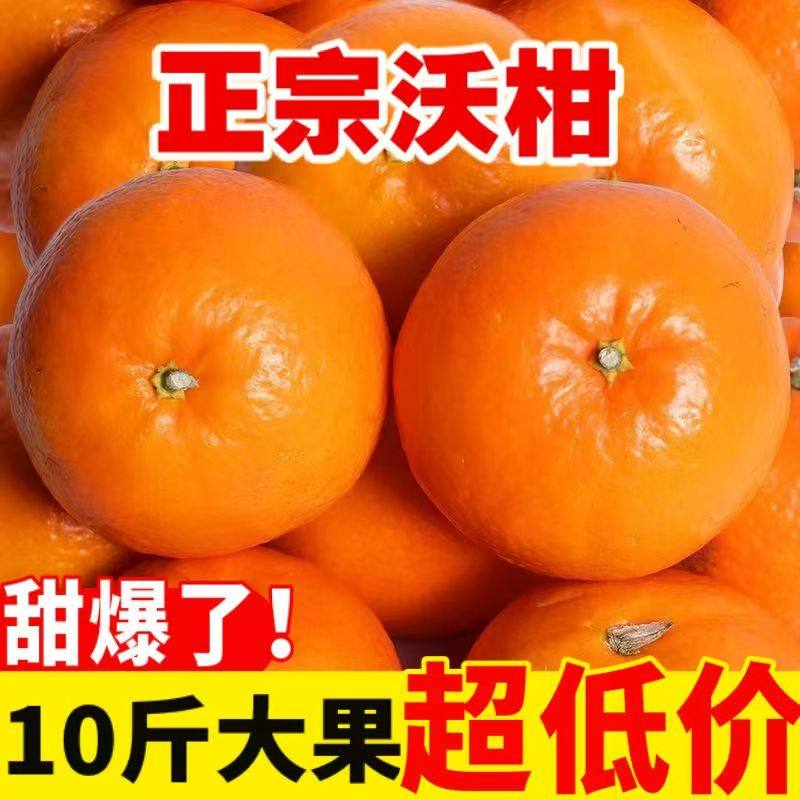 正宗广西武鸣沃柑薄皮柑橘子现摘5斤新鲜桔子水果橘子当季果冻橙