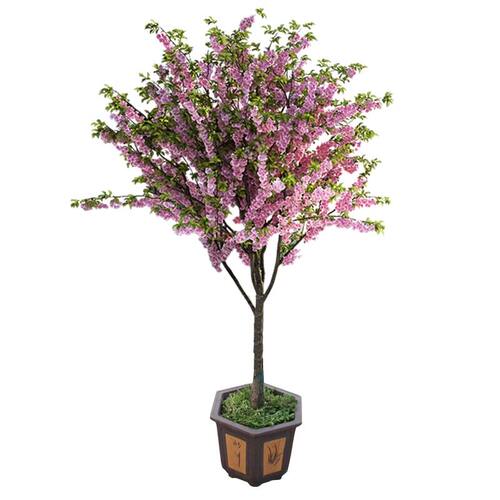 海棠花树苗高杆西府垂丝北美海棠耐寒植物庭院盆栽地栽风景树室外 - 图1