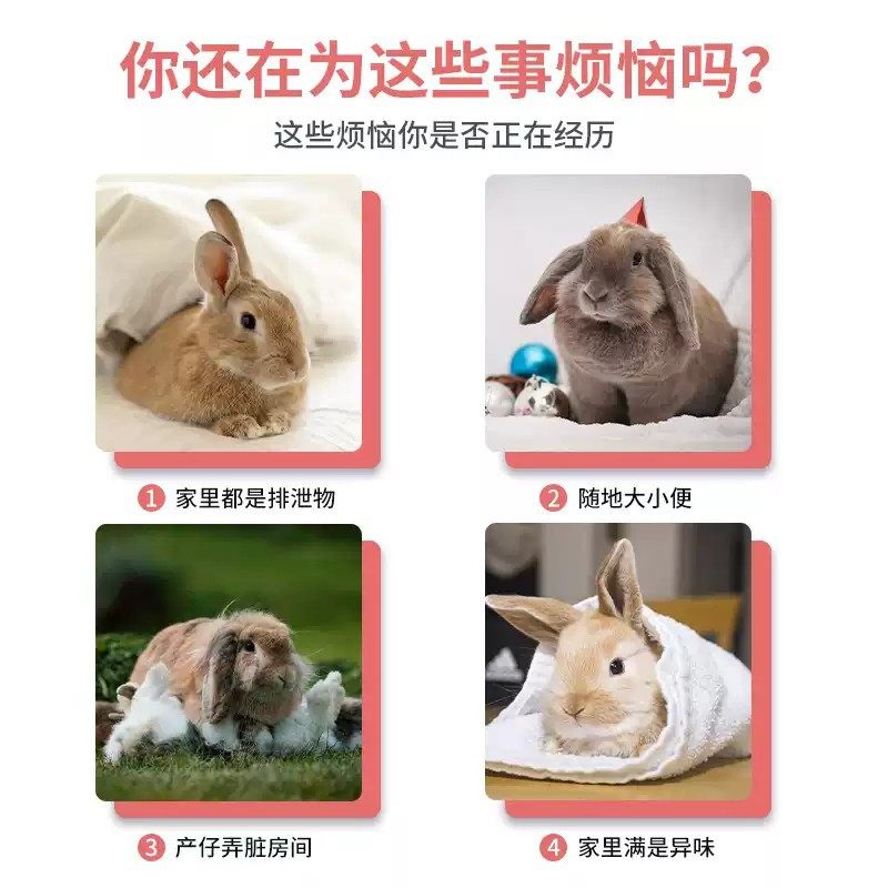 兔子尿垫除臭宠物兔粪便清理尿不湿兔笼子隔尿垫片一次性兔子用品,淘宝优惠券,粉丝福利购,淘宝优惠卷