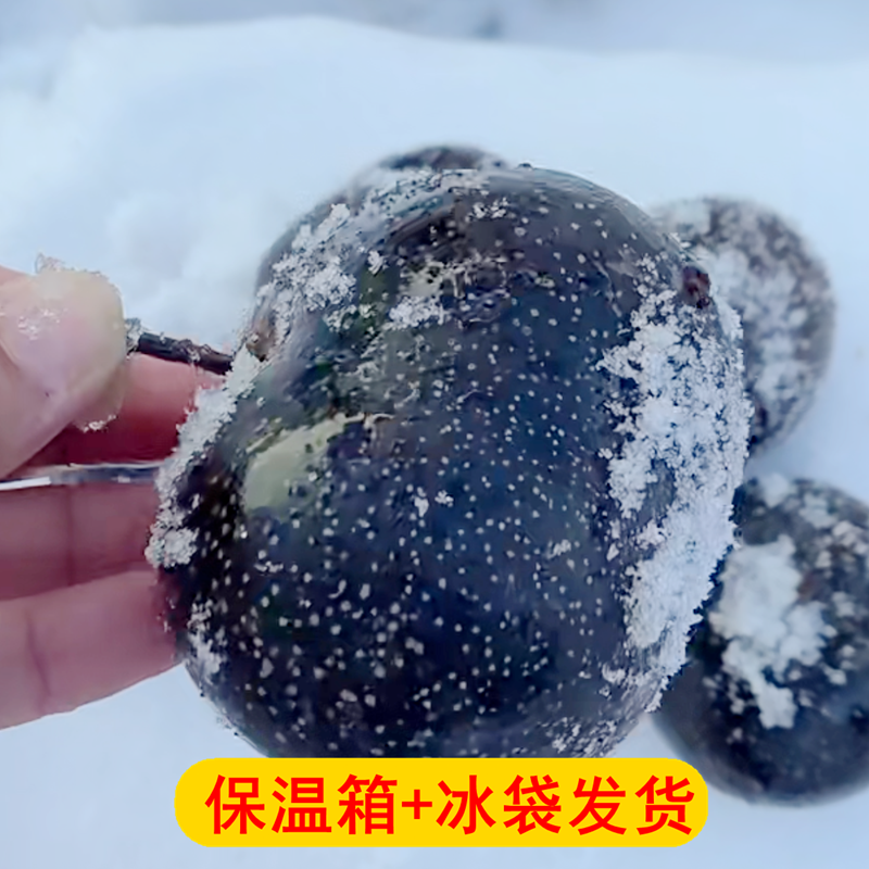 东北冻梨新鲜水果当季流汁水果苹果梨秋梨黑梨延边特产冬果包邮,淘宝优惠券,粉丝福利购,淘宝优惠卷