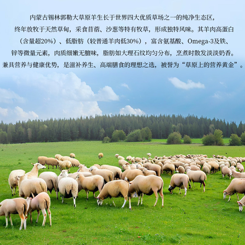 羊小腿新鲜原切块生鲜半成品内蒙古商用批发切块羊前腿小腿腱子肉,淘宝优惠券,粉丝福利购,淘宝优惠卷