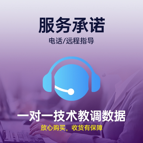 凌博控制器X260MAX雷霆版E260升级版九号直上E/N/F2z/Mz/M395C+ - 图3