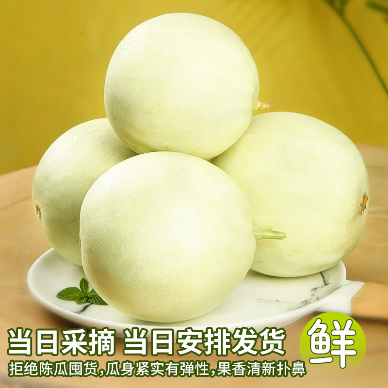 正宗玉菇甜瓜新鲜瓜4.5斤