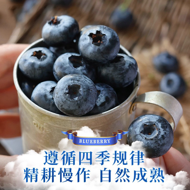 云南高山花香蓝莓头茬鲜果特大果怡佳颗沃应当季水果整箱包邮,淘宝优惠券,粉丝福利购,淘宝优惠卷