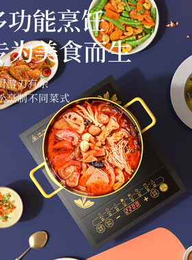 半球2200W多功能电磁炉