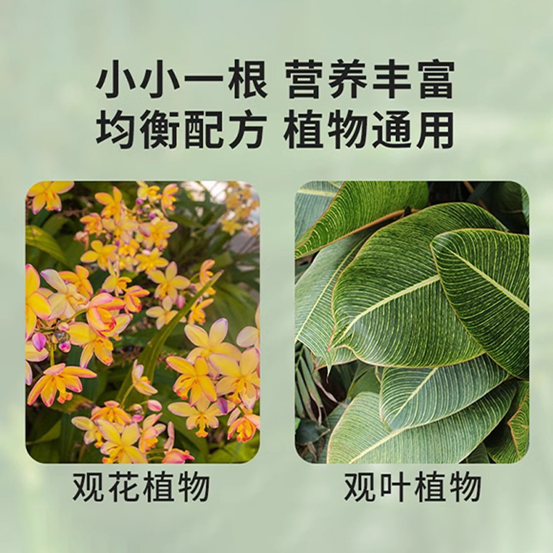 植物缓释营养棒花肥家用盆栽养花通用型月季多肉绿植缓释肥片园艺 - 图0