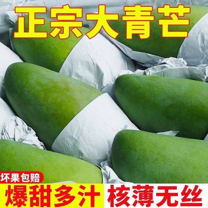 正宗云南现摘现发大青芒新鲜应季水果青皮金煌芒整箱批发超大芒果 正宗云南现摘现发大青芒新鲜应季水果青皮金煌芒整箱批发超大芒果