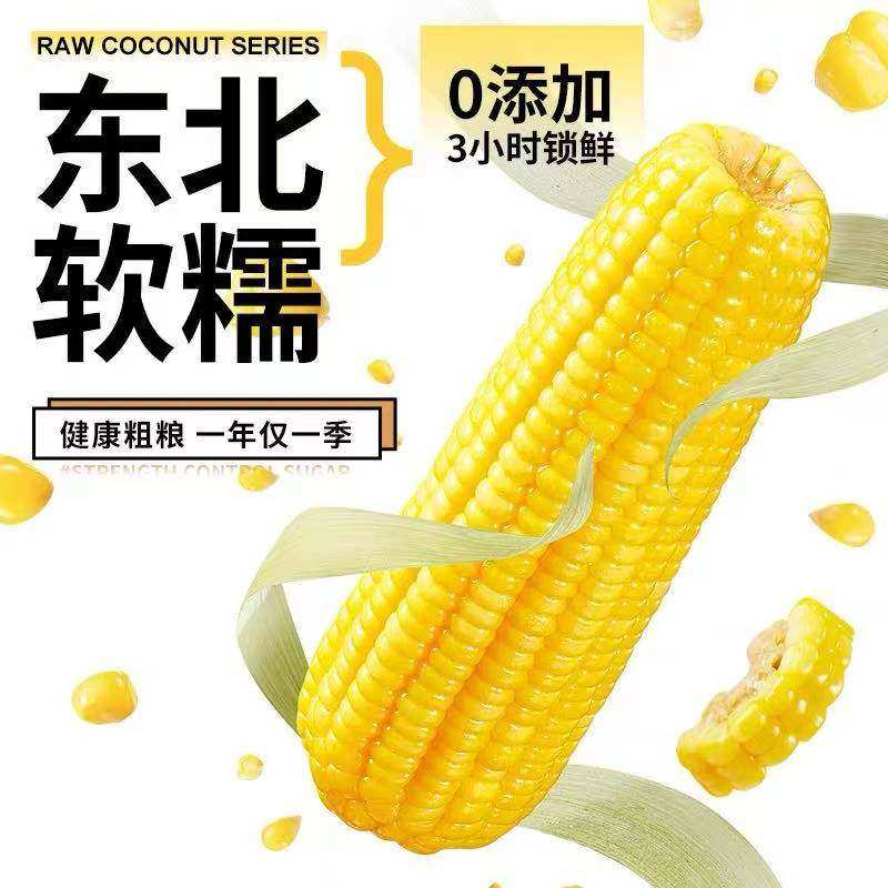 正宗东北黄糯玉米棒真空锁鲜装软糯香甜现摘新鲜黏玉米粗粮代餐,淘宝优惠券,粉丝福利购,淘宝优惠卷
