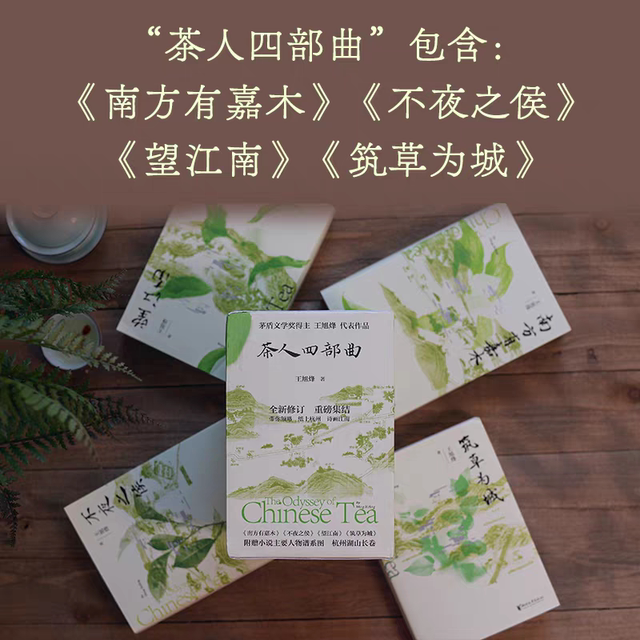 Ding Hui’s new version of the revised novel Mao Dun Literary Award winner’s book Wang Jiangnan Nanfang is in stock.