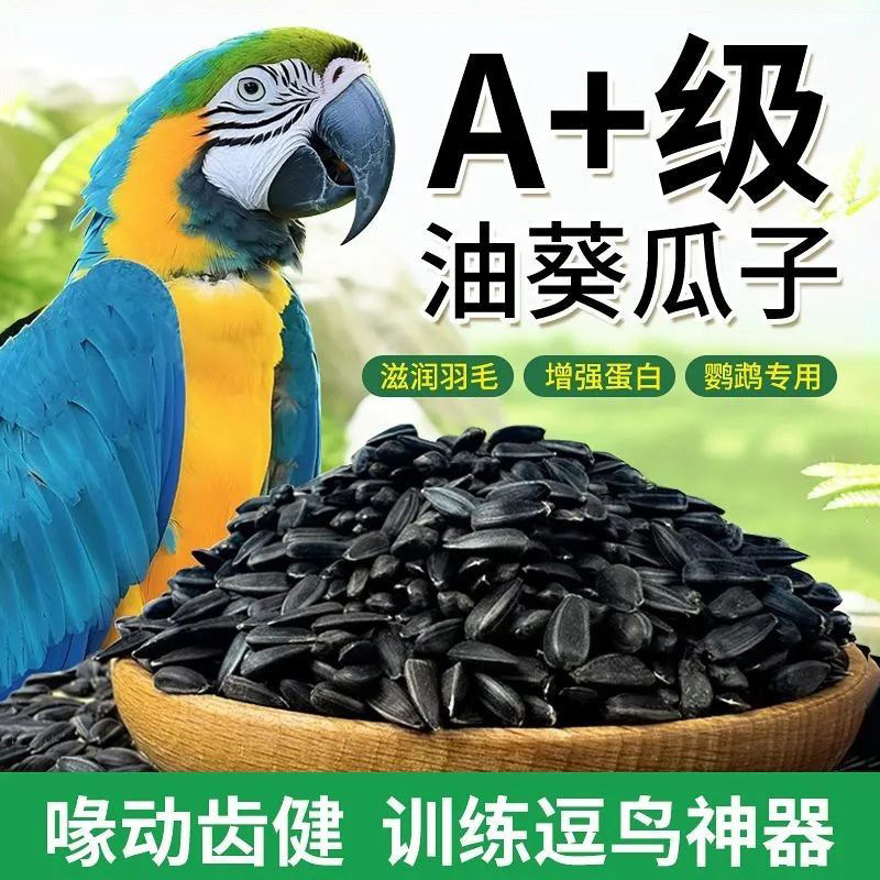 新油葵黑瓜子鹦鹉鸟粮饲料玄凤牡丹营养瓜子零食靓羽美毛新货训练,淘宝优惠券,粉丝福利购,淘宝优惠卷