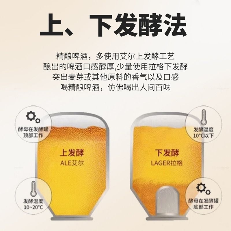 帕丁堡德式啤酒精酿原浆整箱批发2L*6桶小麦白啤中秋箱聚会团聚