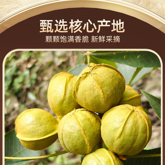 Lin'an Pecan 2025 New Arrivals Hand Peeled