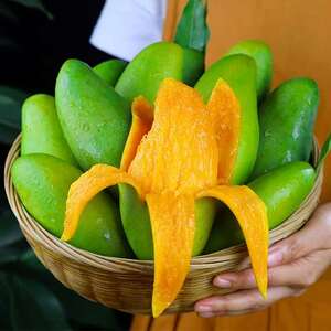 现摘芒果正宗金煌芒应季芒果批发孕妇水果青芒当季新鲜