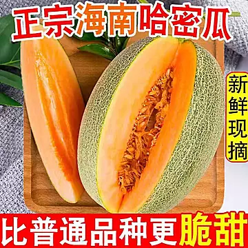 海南哈密瓜净重4.5斤！中果[4元优惠券]-寻折猪