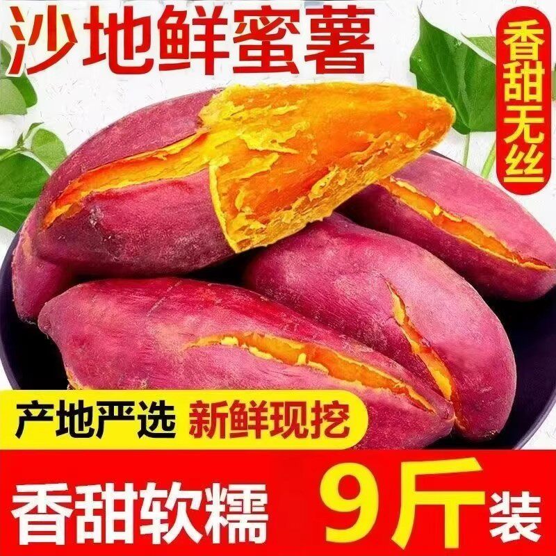 新鲜蜜薯板栗红薯沙地糖心黄心地瓜农家自种番薯现挖黄心香薯山芋