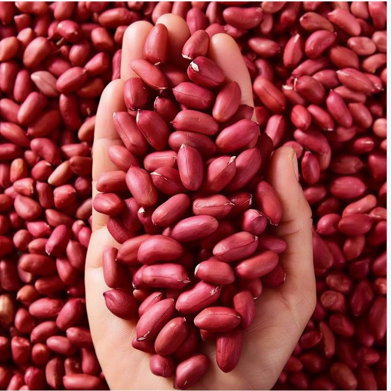 2025年带壳新货红皮花生果农家自种原味生花生米自然晒干生四粒红,淘宝优惠券,粉丝福利购,淘宝优惠卷