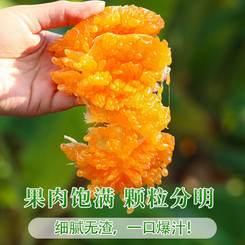 正宗四川春见耙耙柑粑粑柑新鲜水果橘子当季整箱杷杷柑丑桔橘包邮,淘宝优惠券,粉丝福利购,淘宝优惠卷