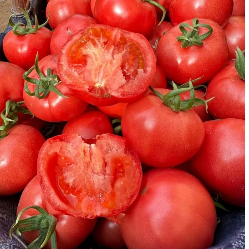 泾阳普罗旺斯水果西红柿生吃新鲜自然熟沙瓤小番茄当季草莓心蔬菜 - 图0