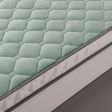 Матрасы из латекса 保暖牛奶绒乳胶记忆棉床垫双人家用1米5榻榻米单人宿舍垫子软垫被