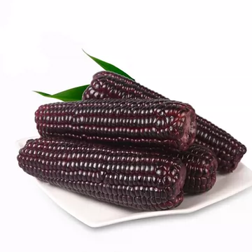 金箔装头茬黑糯玉米240-280g*8根[12元优惠券]-寻折猪