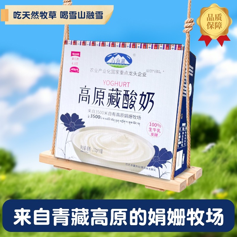 青海湖高原藏酸奶210g*10盒整箱娟姗牧场自有奶源